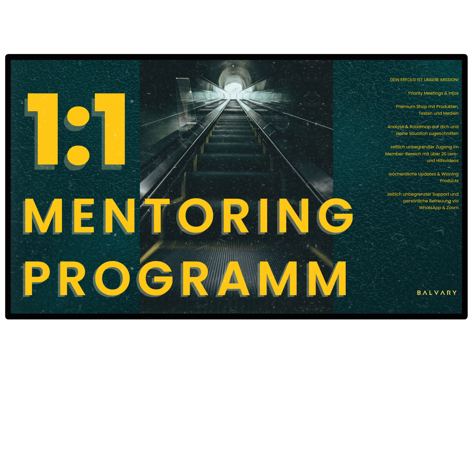 1:1 MENTORING PROGRAMM